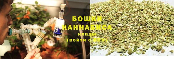 молекула духа Слюдянка