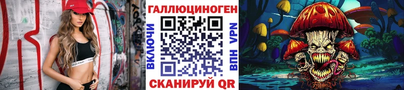 Галлюциногенные грибы Psilocybine cubensis  Купить где  Краснокаменск 